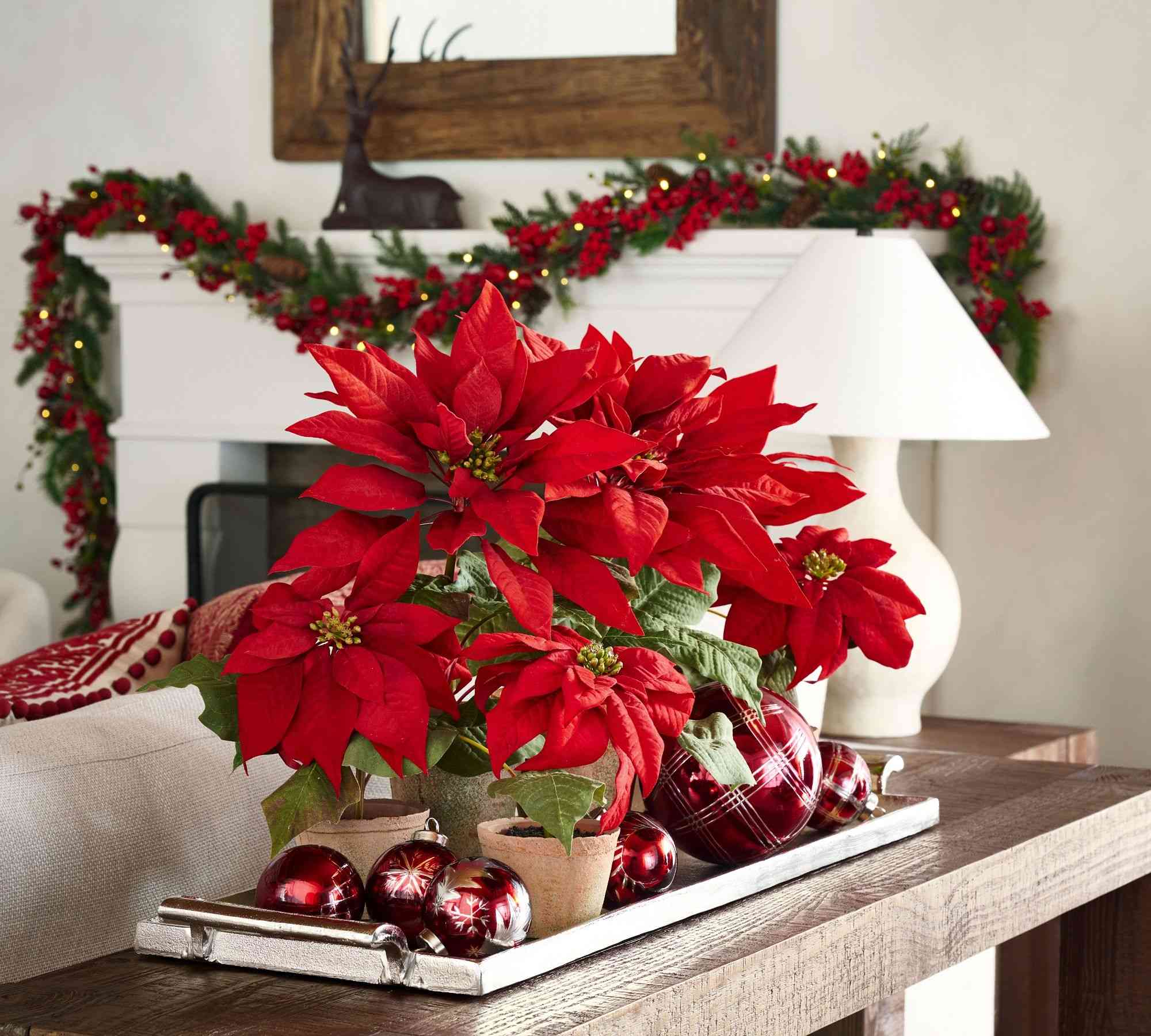 Pottery Barn | Faux Potted Poinsettias