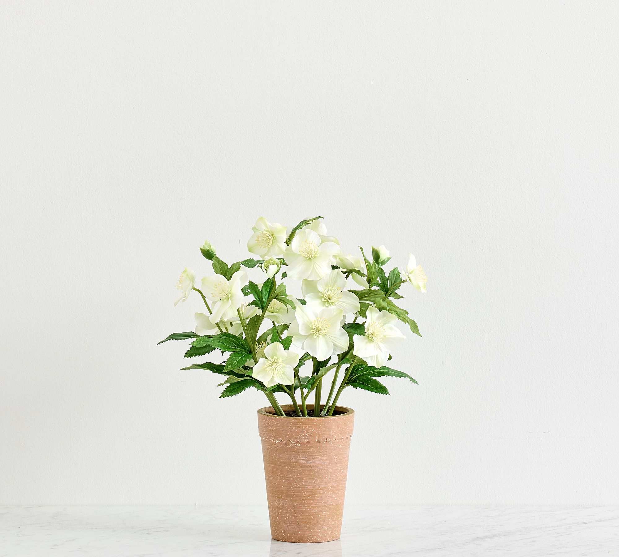 Faux Potted Hellebore