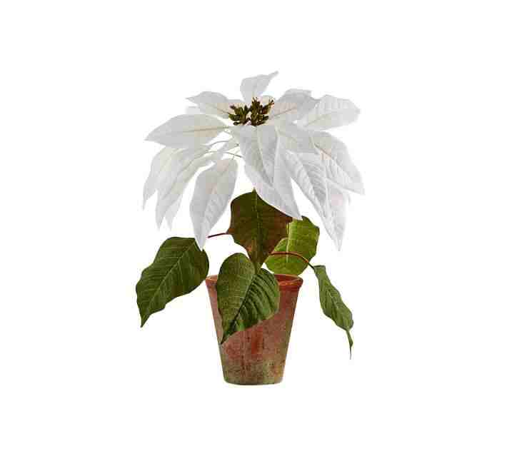 Faux Potted Poinsettias - White
