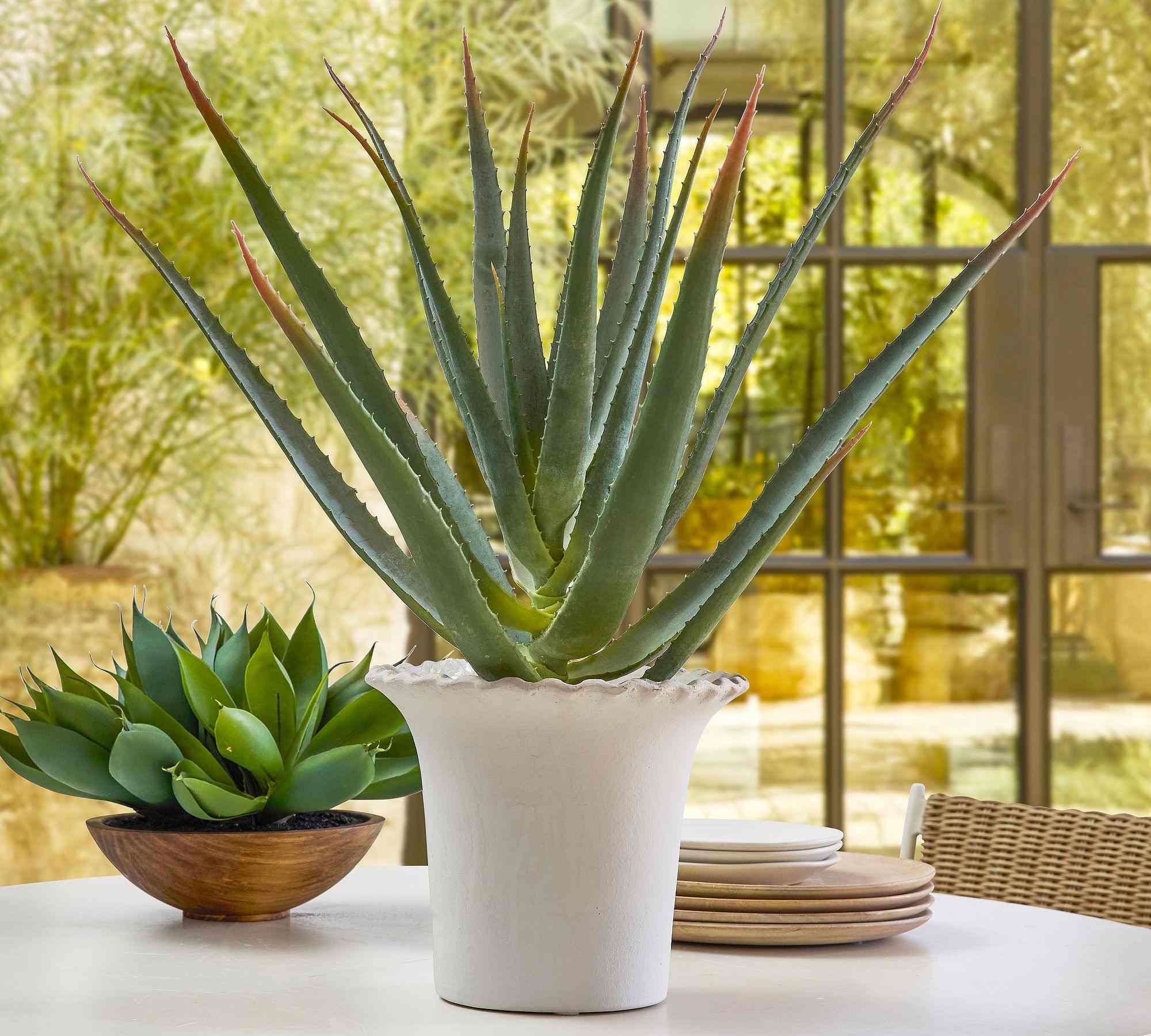 Pottery Barn | Faux Spike Aloe Plant