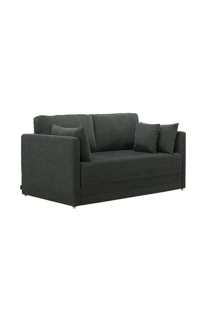 neudot Max Fabric Pull-Out Sofa Cum Bed for Living Room | 2 Seater Sofa Bed for Drawing Room & Bedroom | Diwan | Astro Grey Color