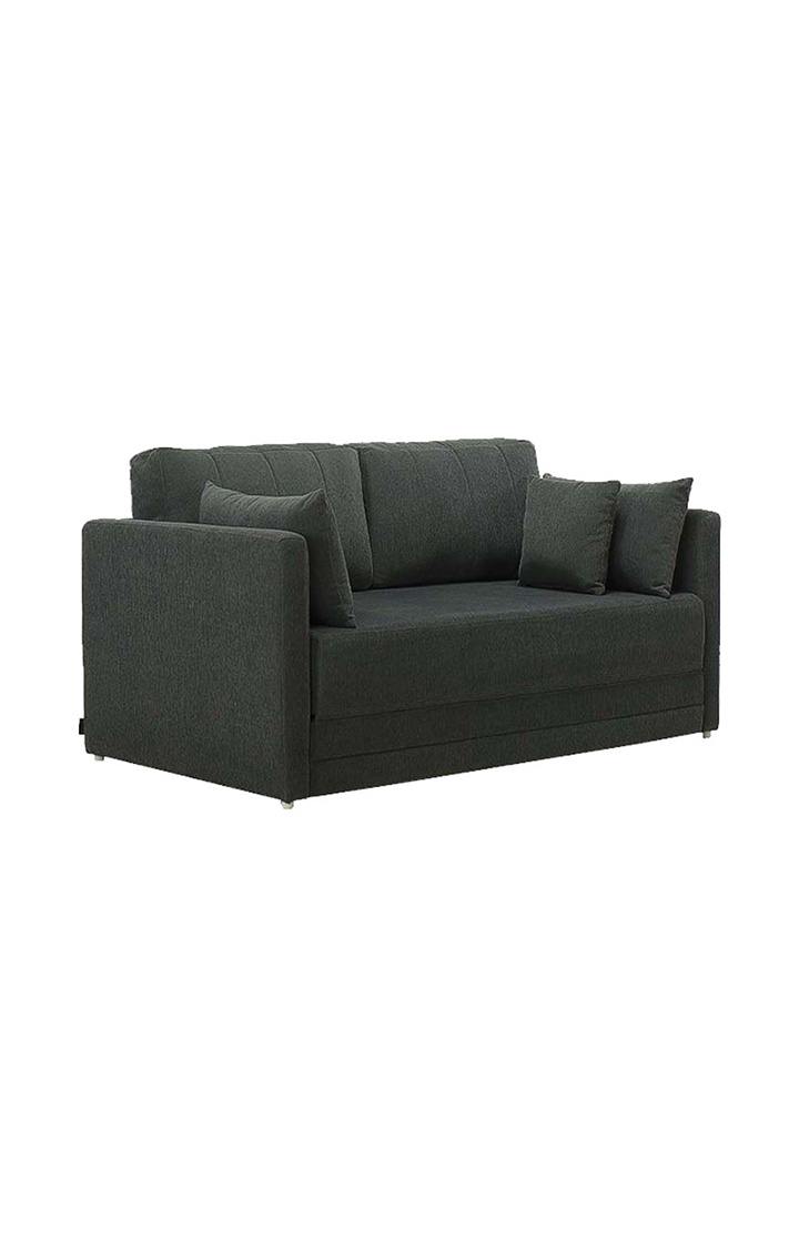 neudot Max Fabric Pull-Out Sofa Cum Bed for Living Room | 2 Seater Sofa Bed for Drawing Room & Bedroom | Diwan | Astro Grey Color