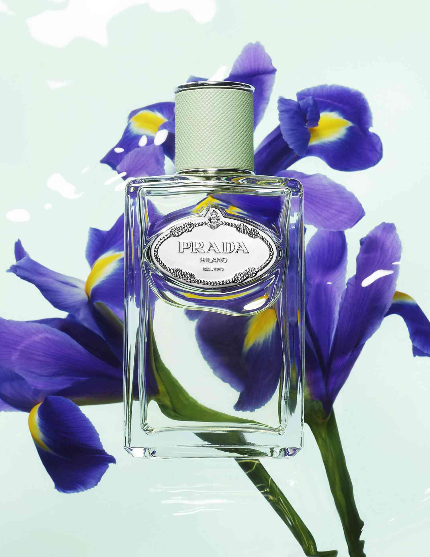 Prada iris eau hot sale de parfum 100ml