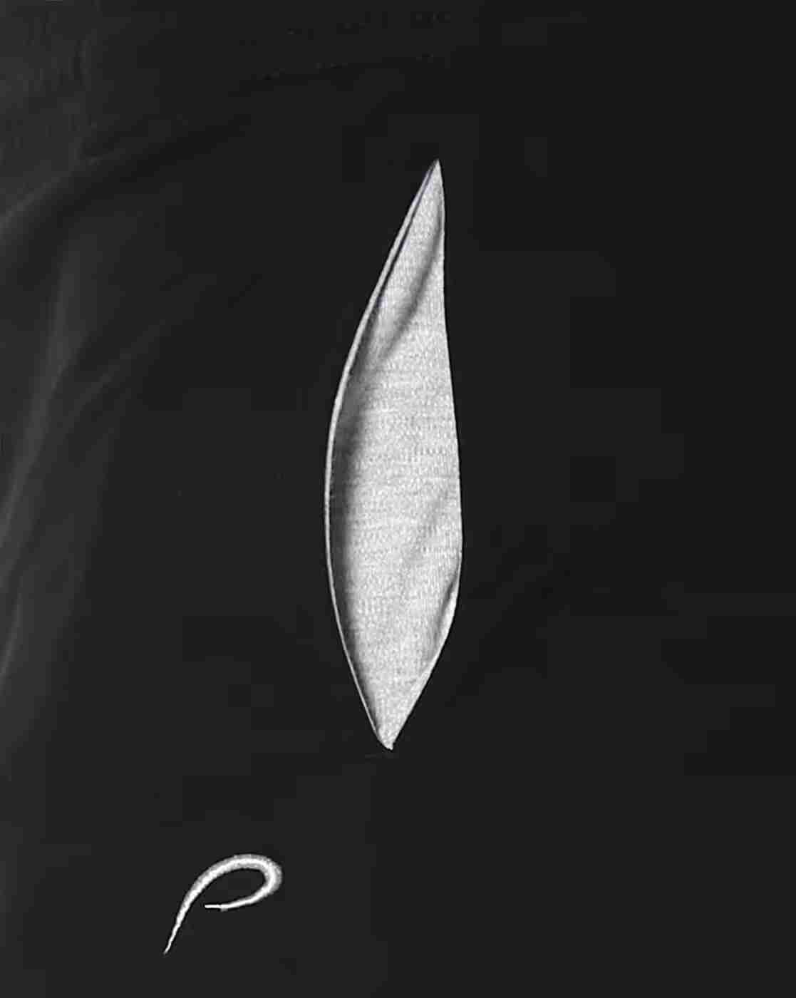 PROLINE | Track Pants with Elasticated Waistband|4