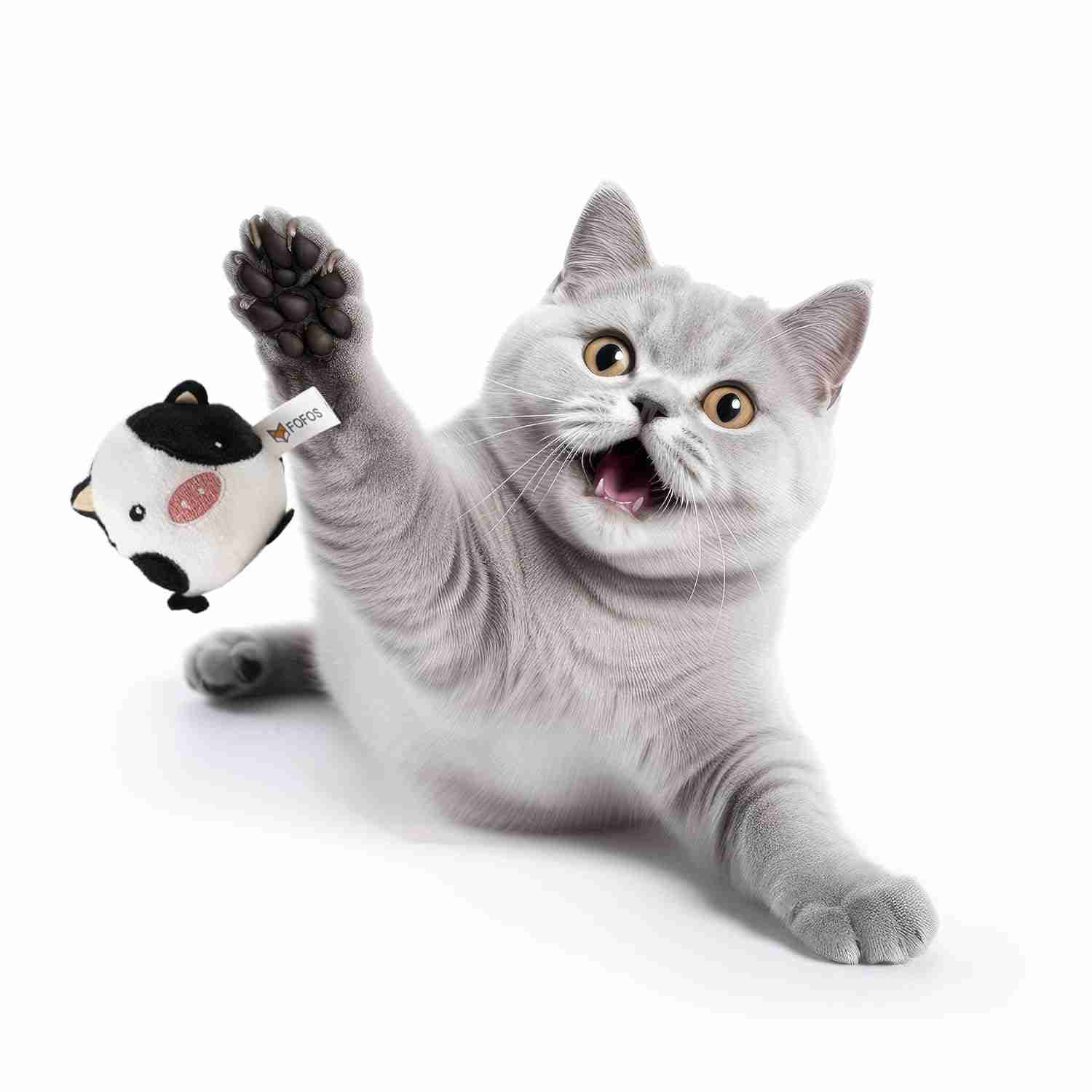 Barkbutler Fofos Farm Animal Balls Assorted Display Box, 1 Pcs