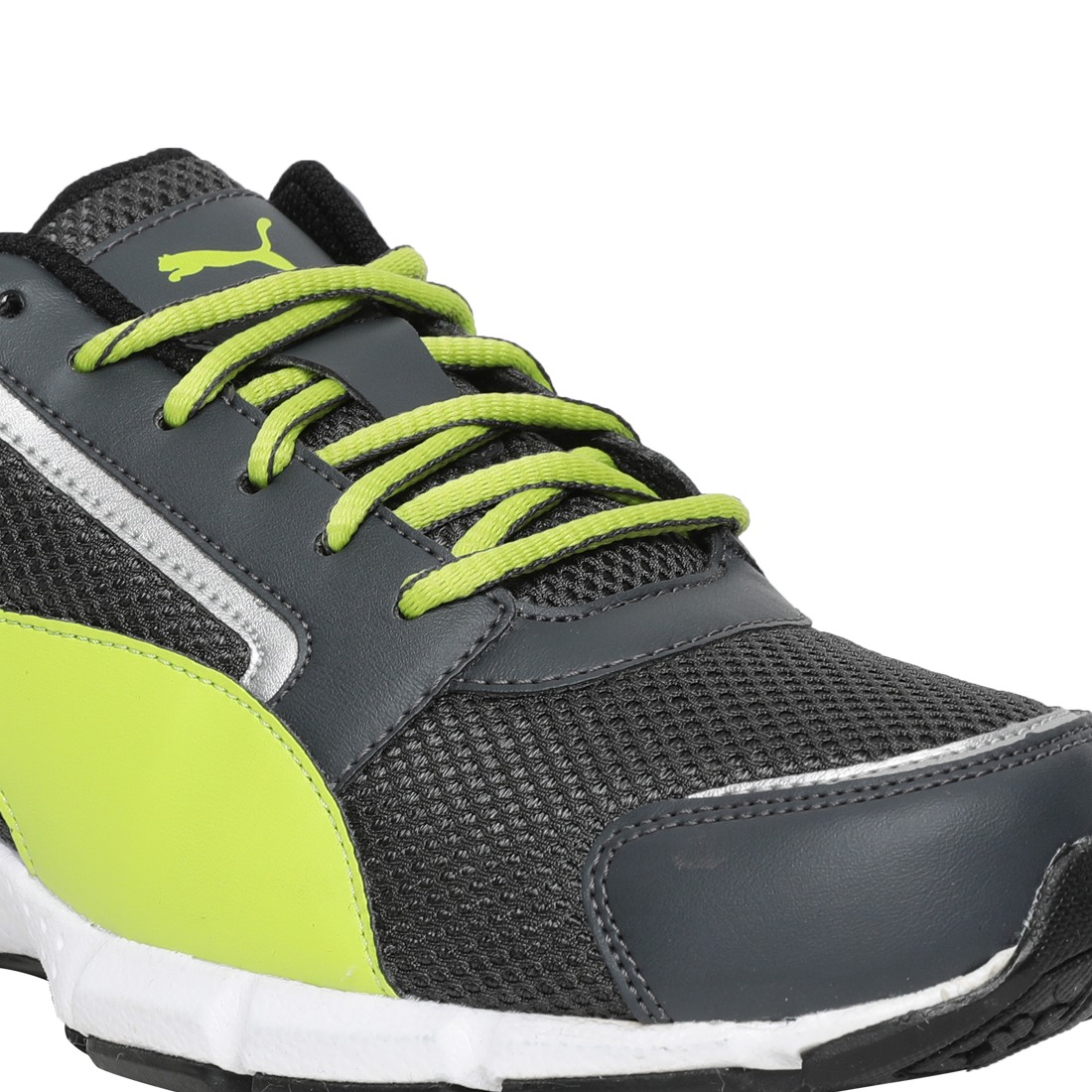 Puma triton idp online