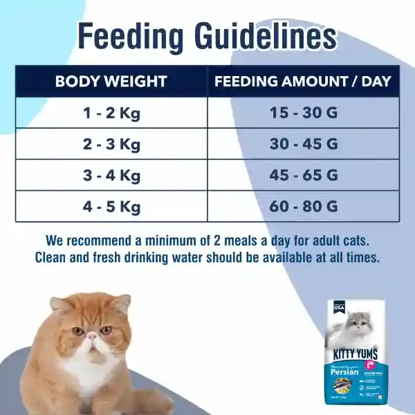 Kitty Yums Persian Dry Cat Food