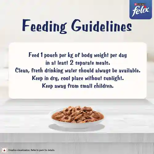 Purina Felix Gravy Lover Meaty Salmon Chunks Wet Cat Food, 70g