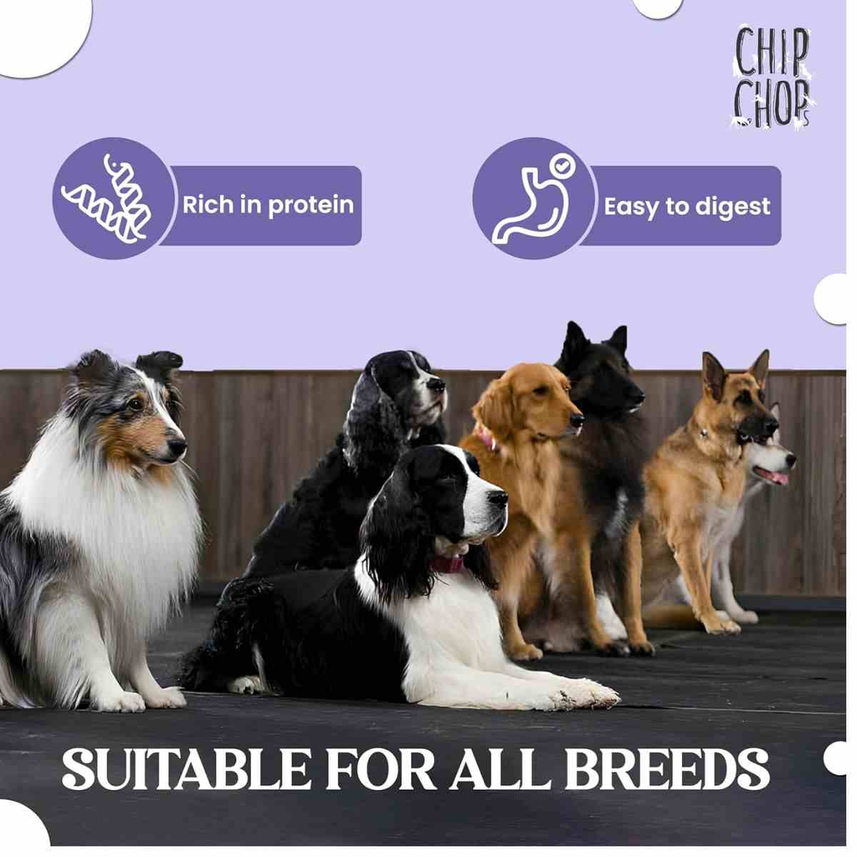 Chip Chops Freeze Dried Duck Breast Dog Treat - 35gm