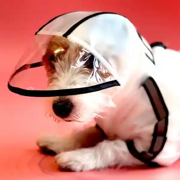 Barkbutler x FOFOS Pet Four Leg Raincoat - Black