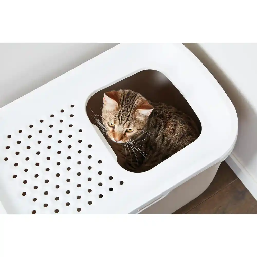 Savic Hop In Modern Cat Litter Tray Mocha- 23 x 15 x 15 inch