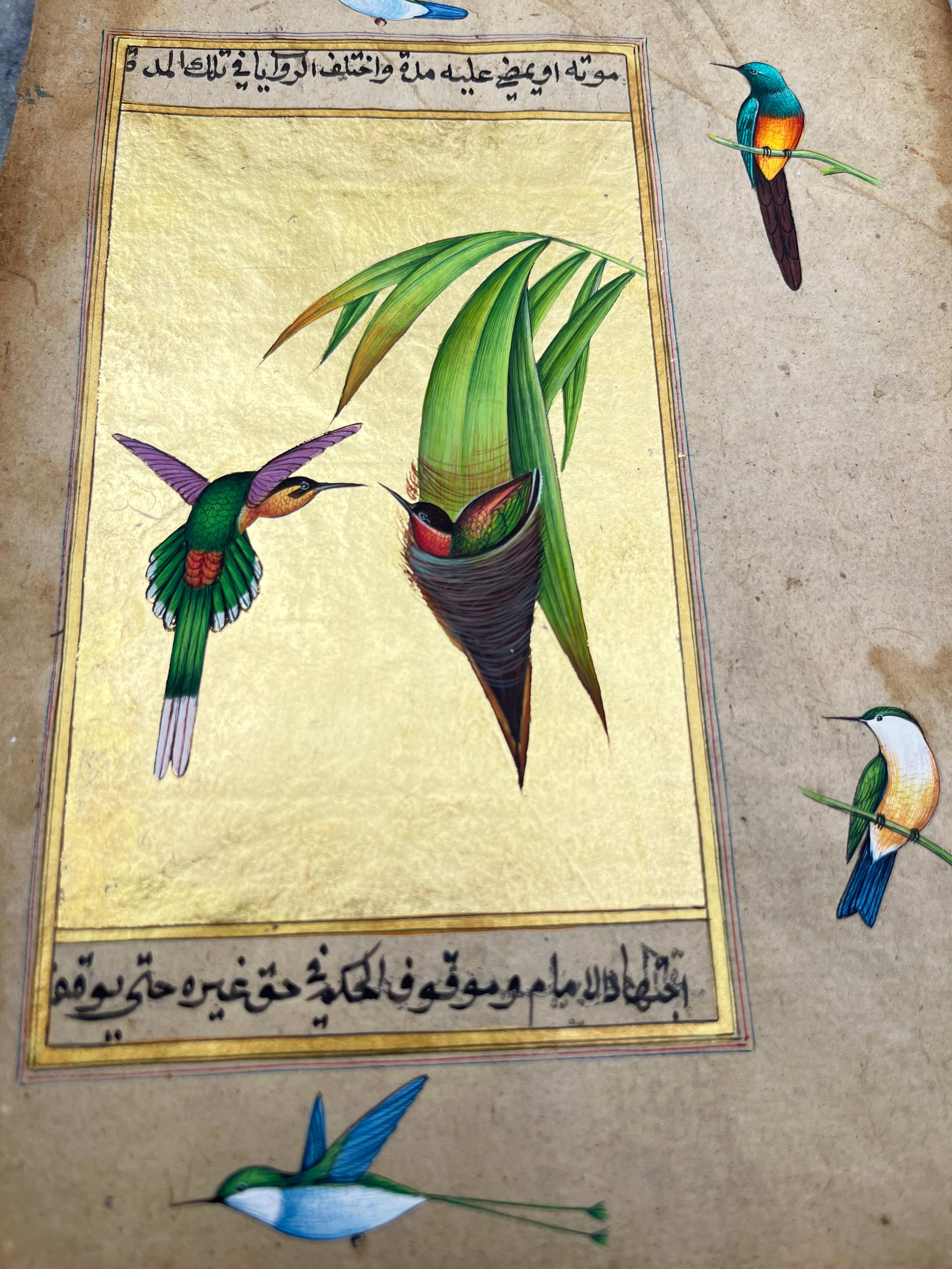 Humming Bird Miniature Painting