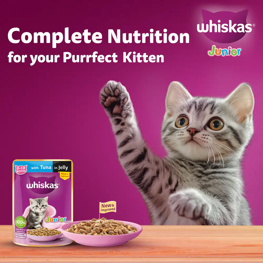 Whiskas Kitten Tuna for Cats 560g