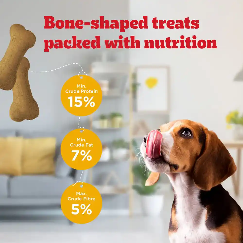 Pedigree Lamb Flavour (4+ Months) Biscrok Biscuits Jar Treats for Dogs