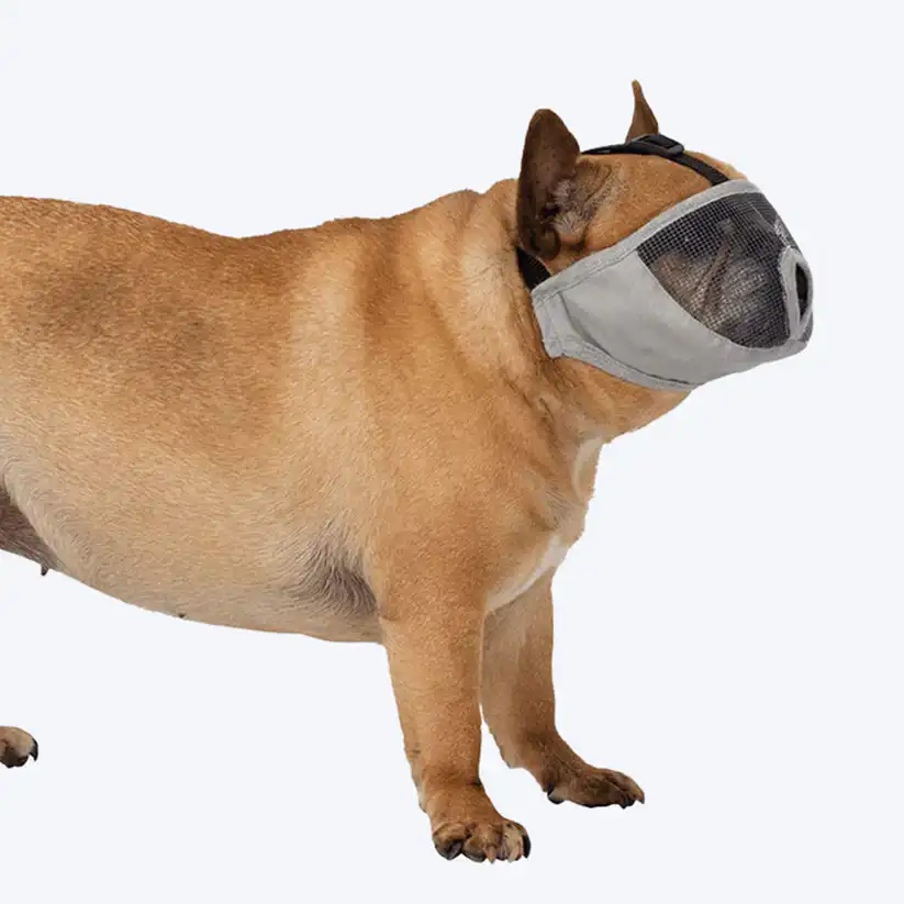 Trixie Polyester Muzzle for Short-Nosed Breeds - Small - Grey