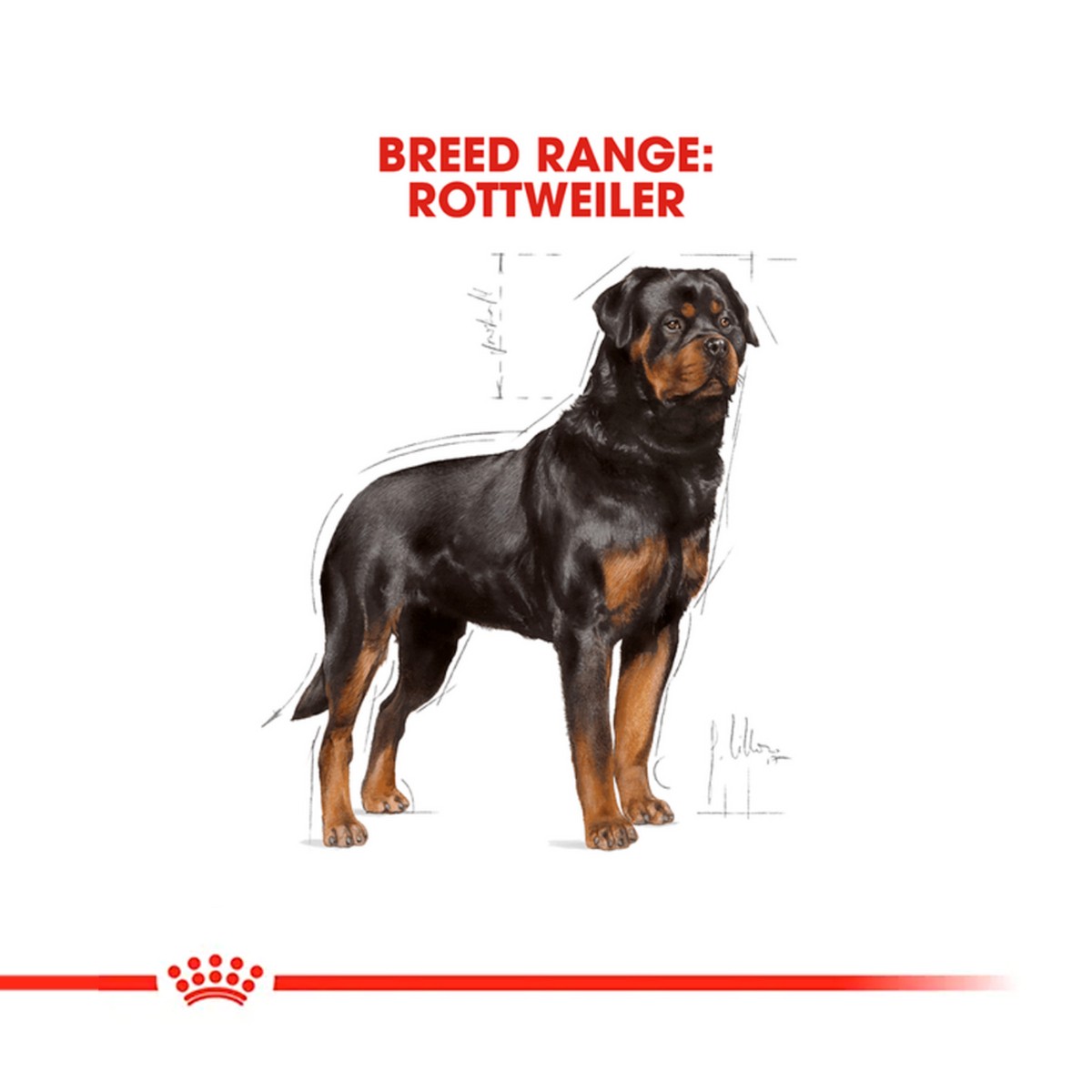 Royal Canin Rottweiler Adult Dry Dog Food