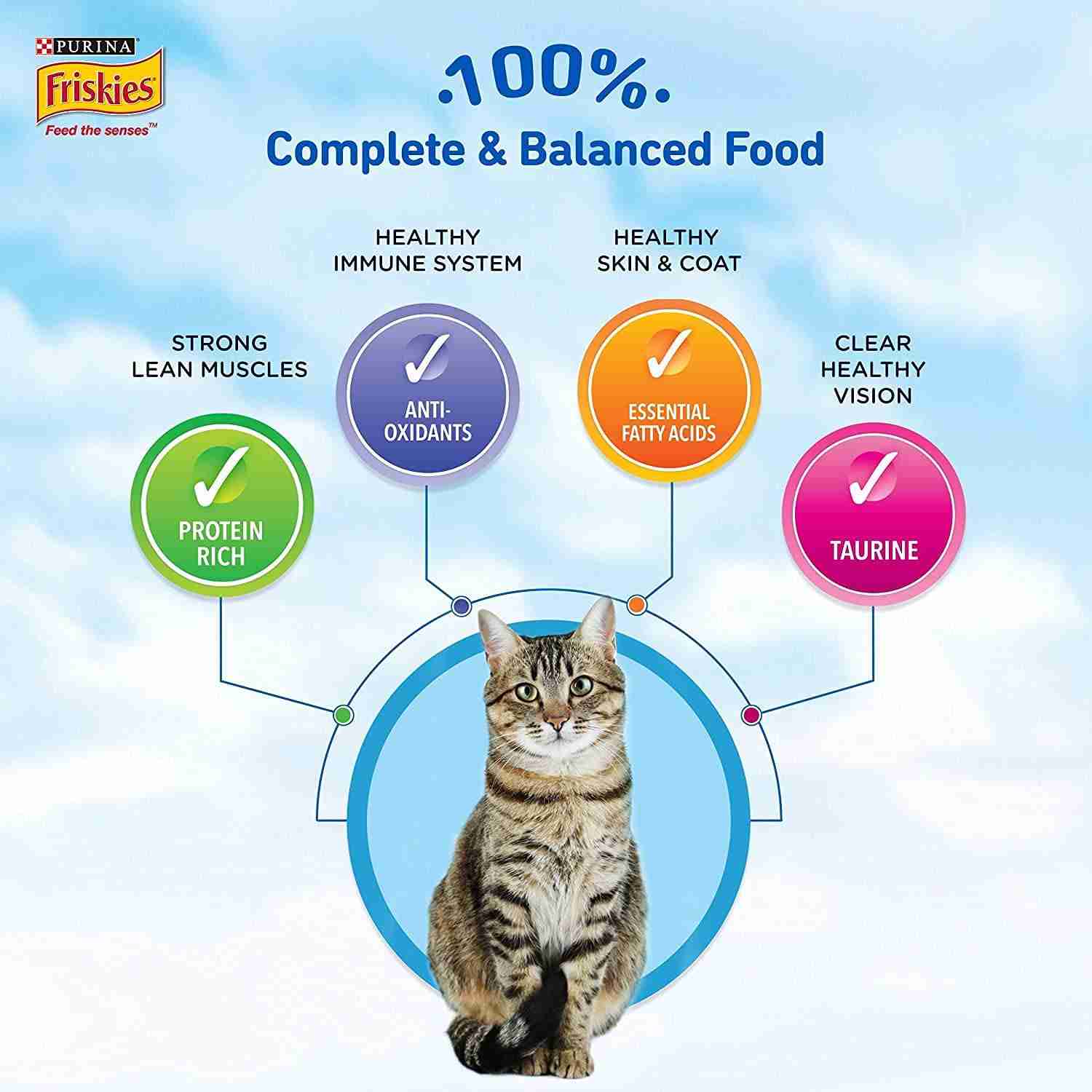 Purina Friskies Seafood Sensations Tuna Salmon Whitefish Cran & Shrimp  Adult Dry Cat Food