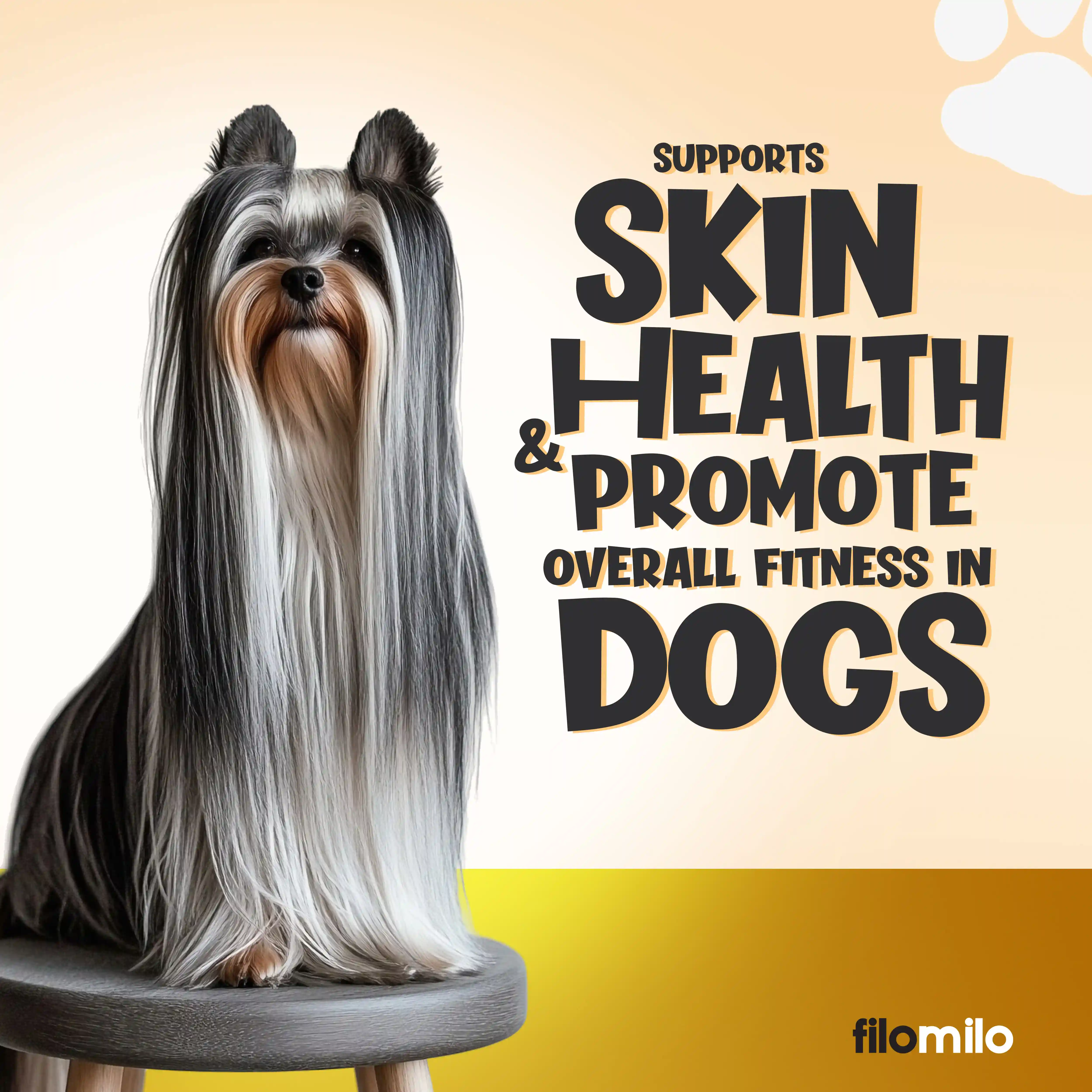 Filomilo Functional Filled Treats For Dogs (Strongest Ever Immunity), 70g