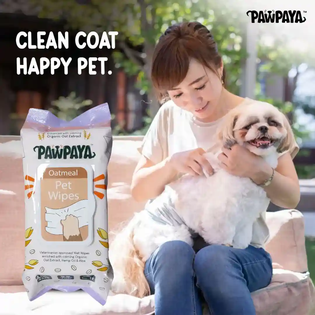Pawpaya Oatmeal Pet Wipes for Dogs and Cats, 100 Pull Pack (20x18cm)