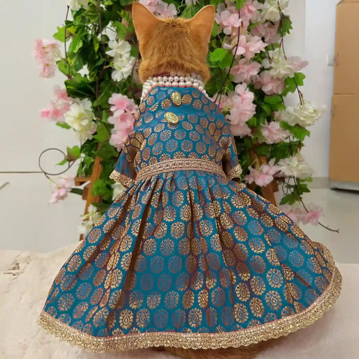 Pawsindia Traditional Royal Brocade Dress for Cats, Aqua Green | Ethnic Festive Wear