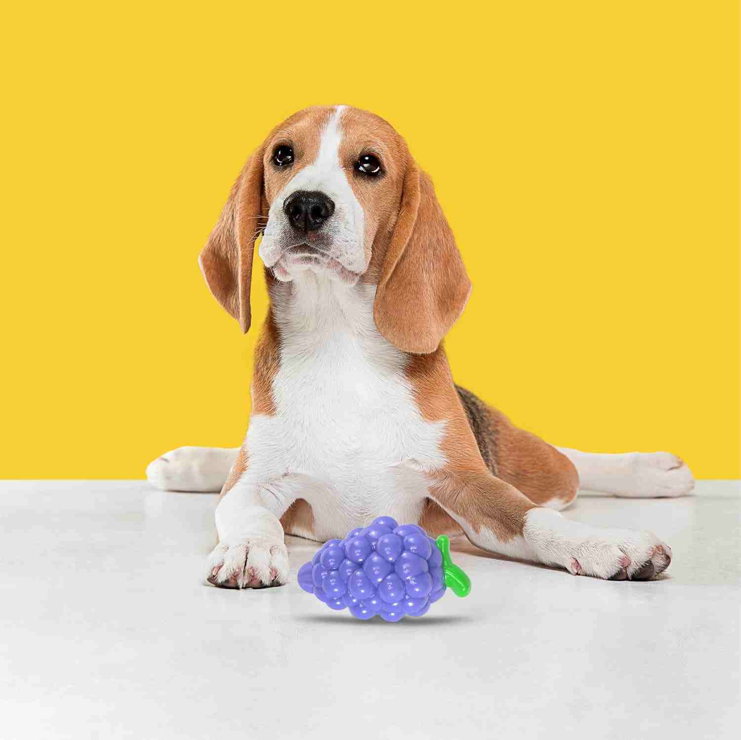 Barkbutler Fofos Puppy Fruity-Bites Squeaky Crazy Grape Toy for Dogs, (11.4x7 cm)