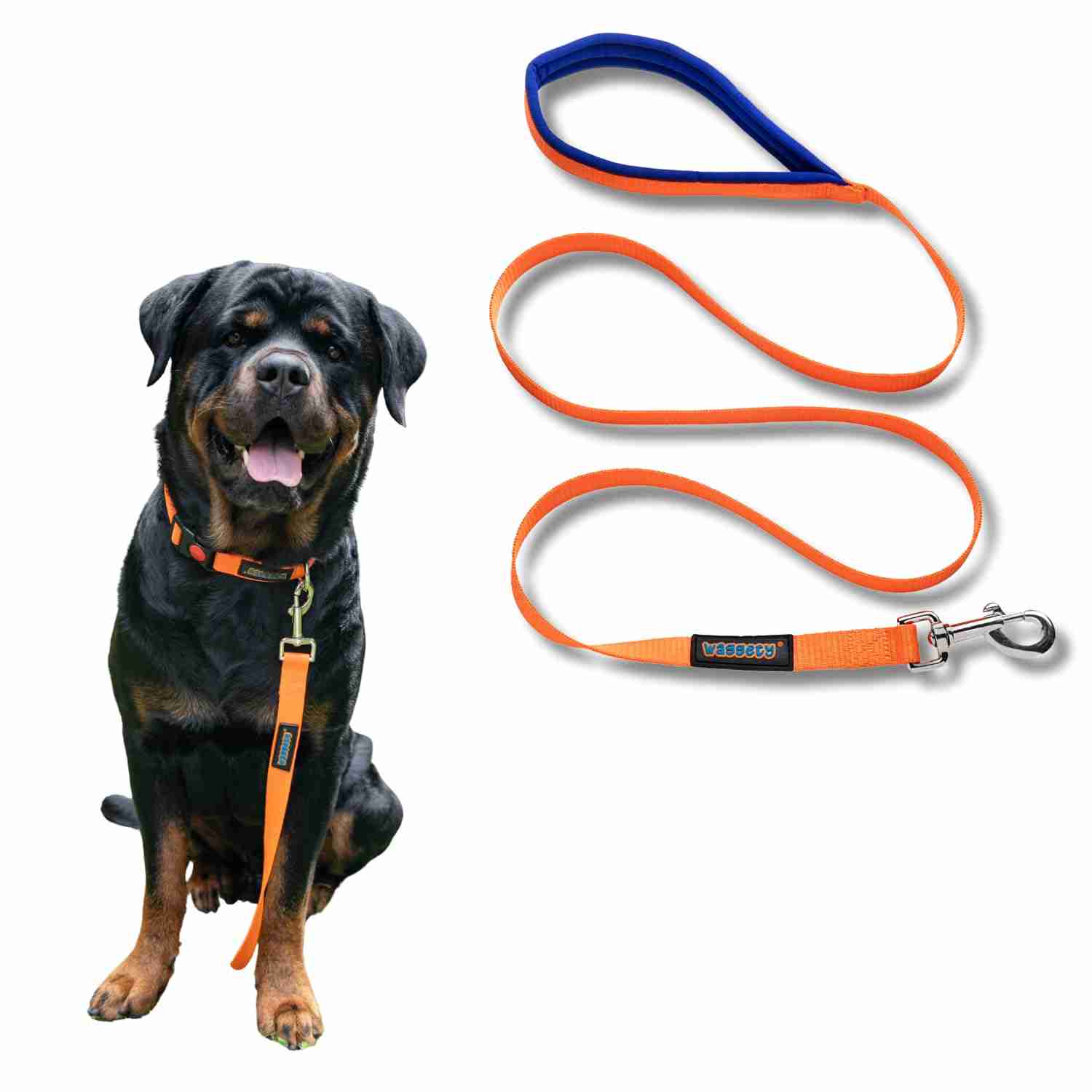 Waggety Dog Leash, Orange