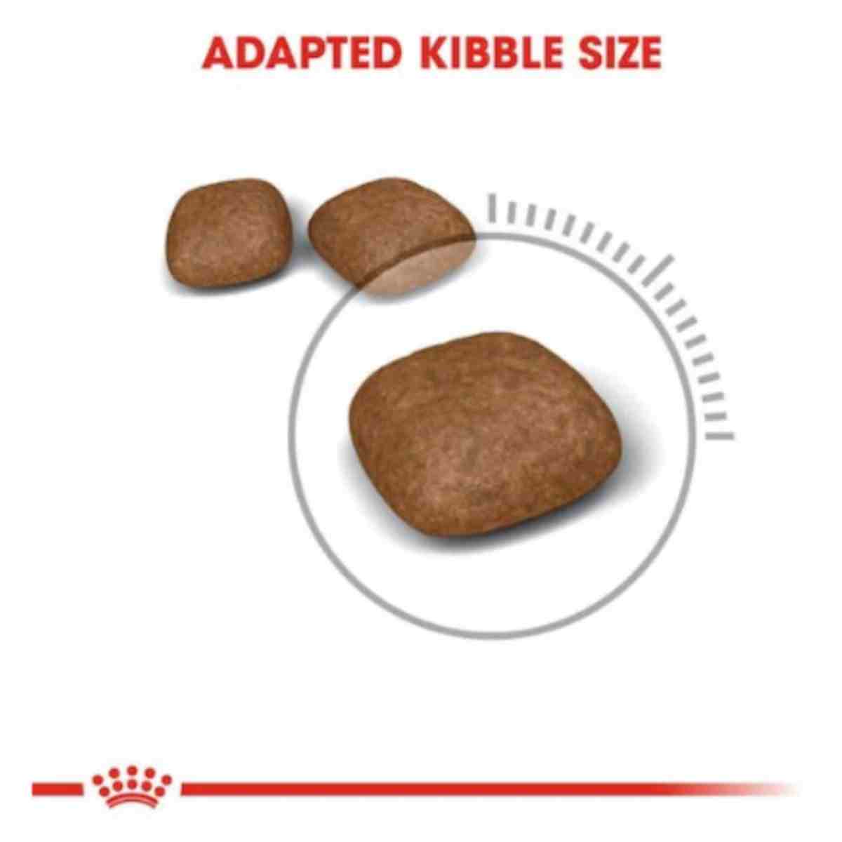 Royal Canin Urinary Care Adult Dry Cat Food