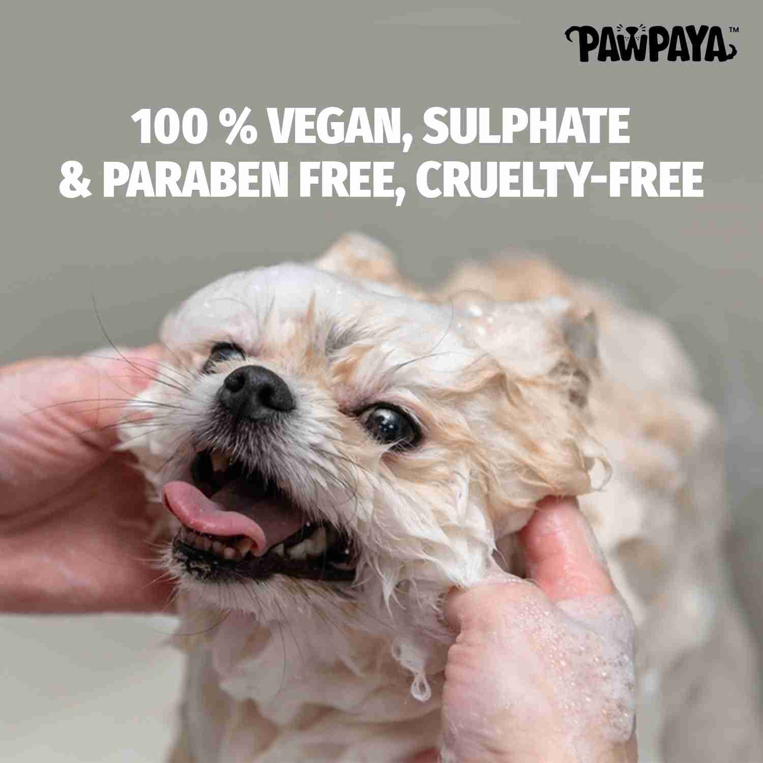 Pawpaya Puppy Shampoo for Dogs