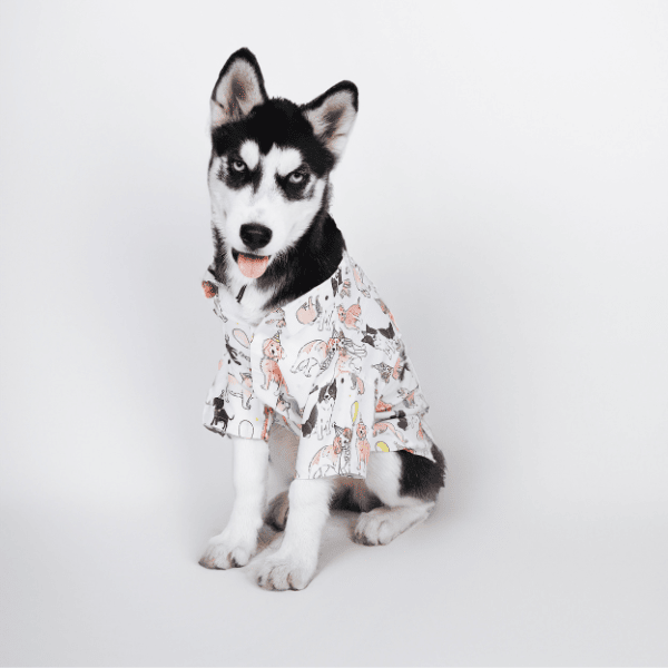 Ezra Polyester Blend Dog Shirt - Party