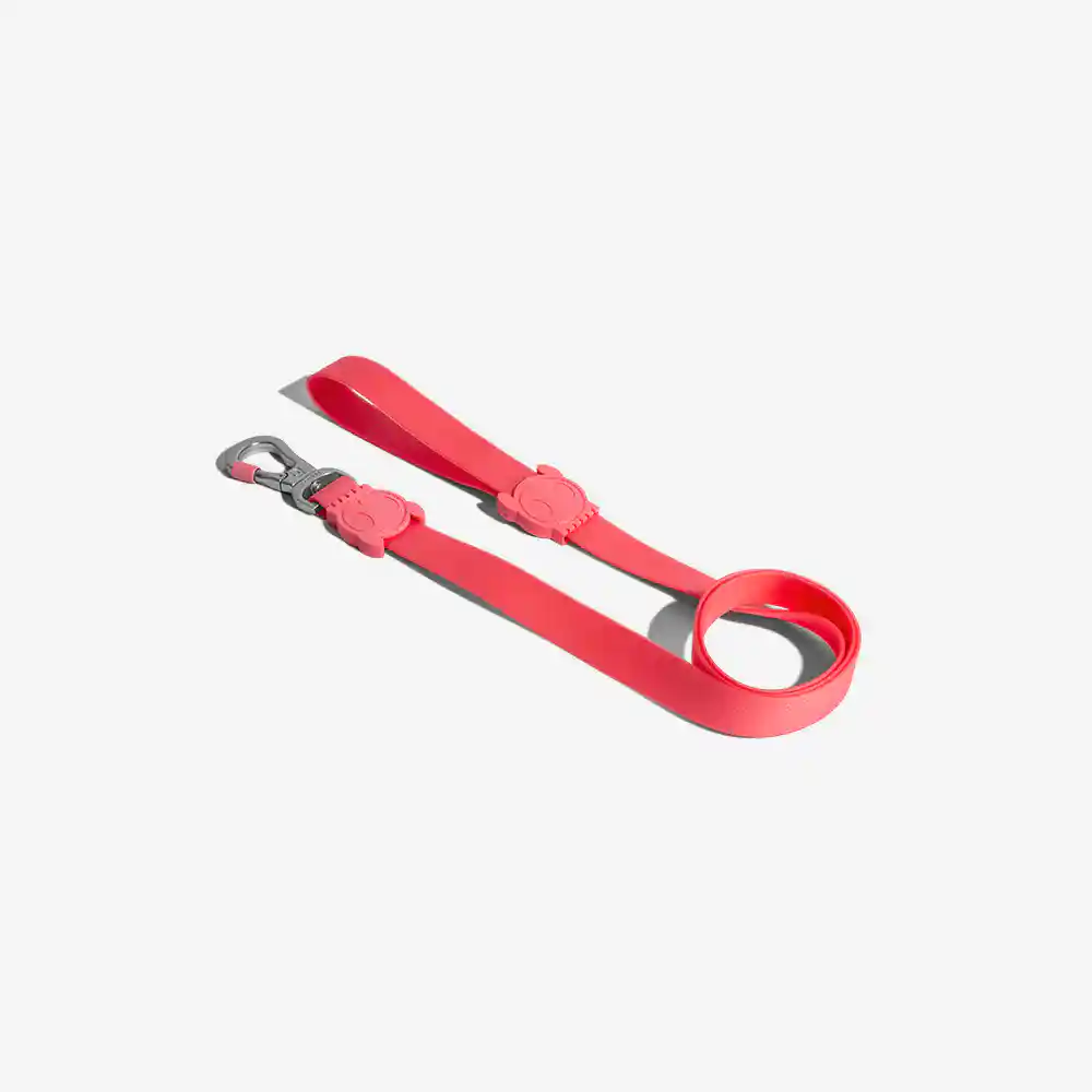 Zee.Dog Neopro Bubblegum Leash for Dogs