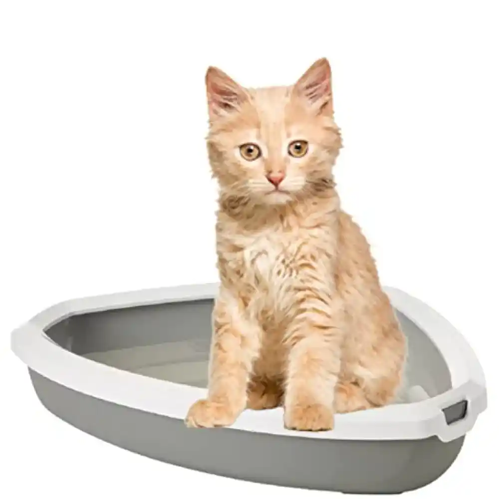 Savic Rincon Corner Cat Litter Tray + Rim - Cold Grey - 23 x 18 x 5 Inch