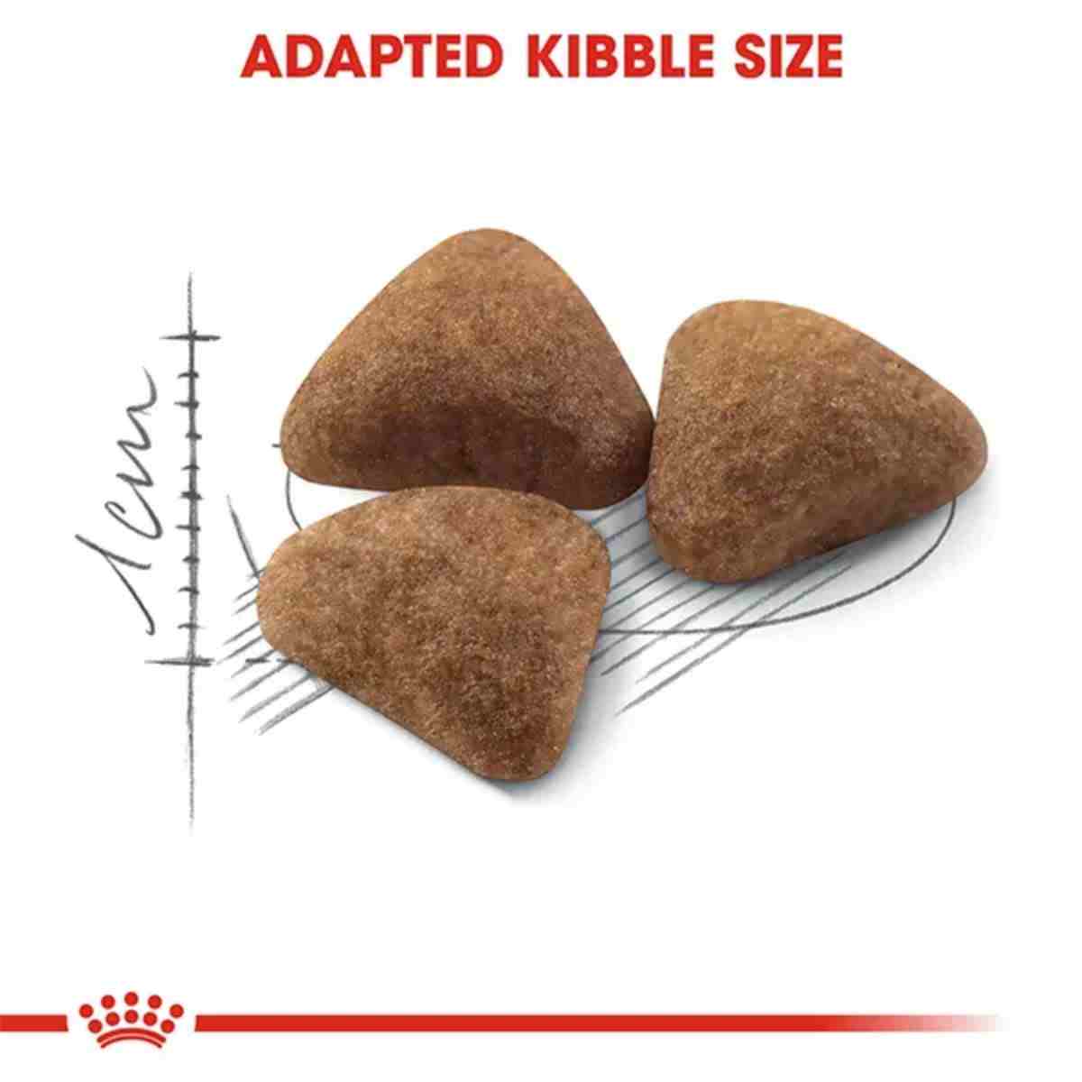 Royal Canin Indoor 27 Dry Cat Food