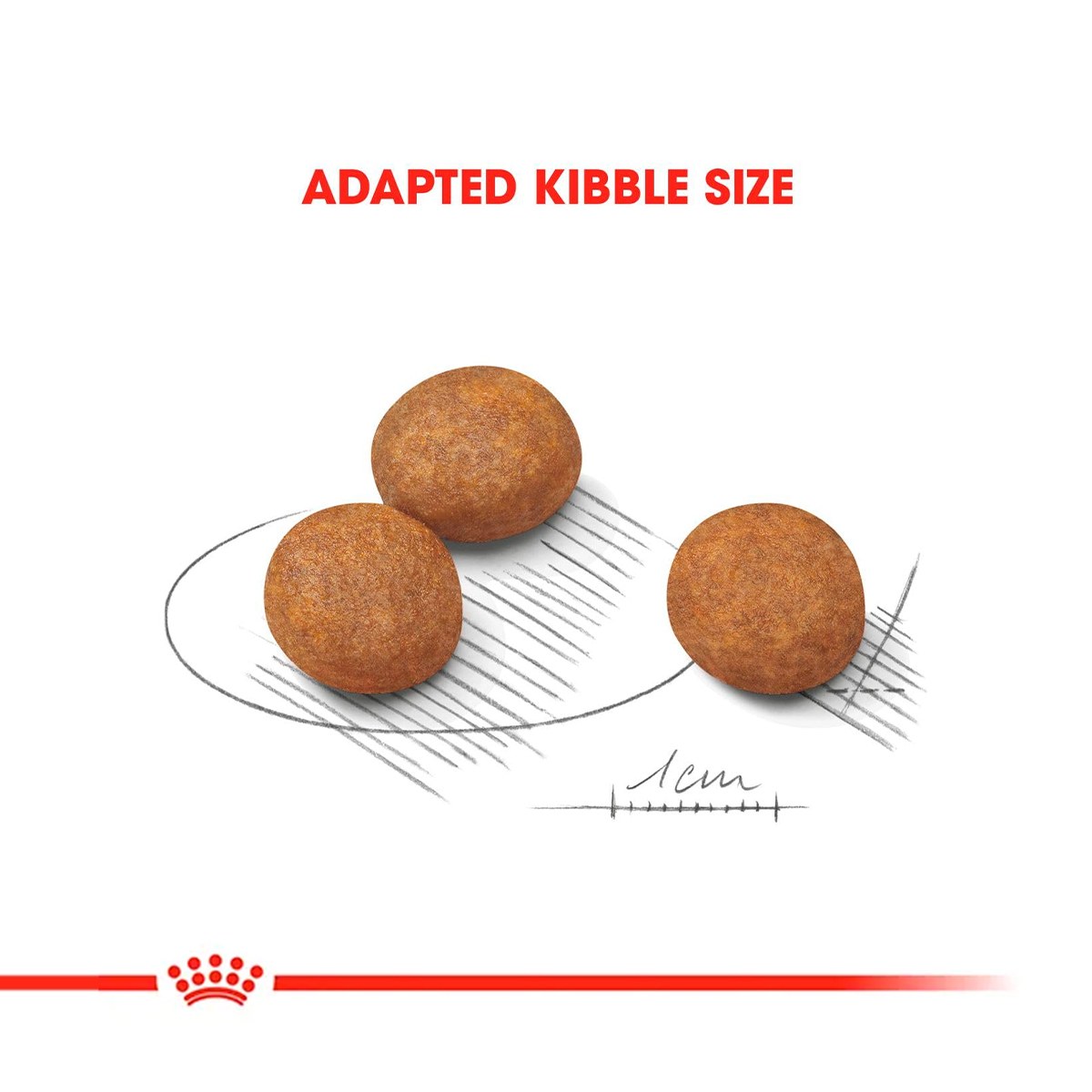 Royal Canin Maxi Puppy Dry Dog Food with Free Gravy Pack