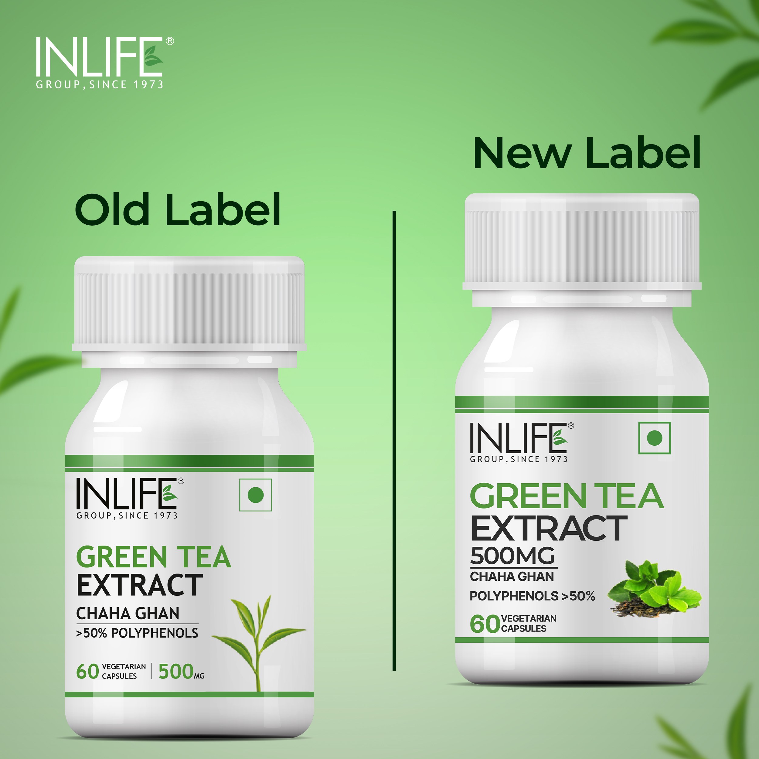 Inlife | Green Tea Extract Capsules | Standardised to 50% Polyphenols | Antioxidant | 60 Veg Cap