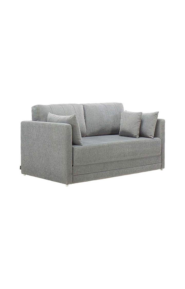neudot Max Fabric Pull-Out Sofa Cum Bed for Living Room | 2 Seater Sofa Bed for Drawing Room & Bedroom | Diwan | Grey Color