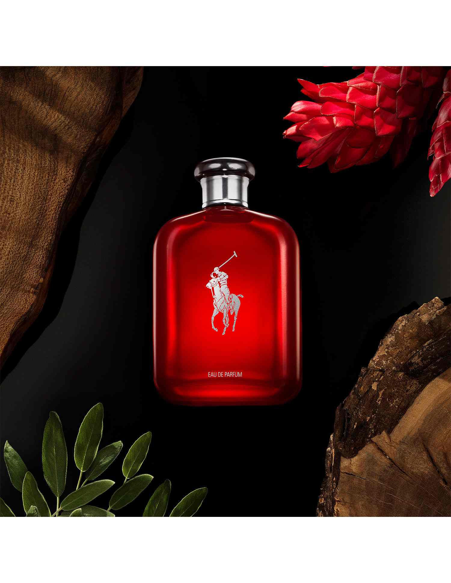 Polo Red Eau De Parfum 75ml