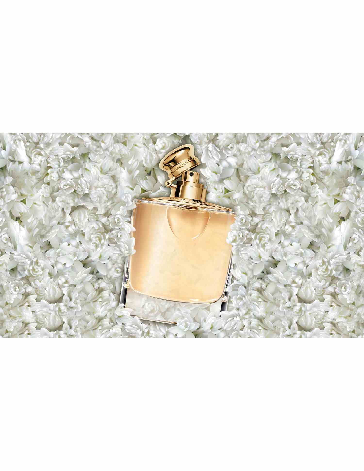Woman Eau De Parfum Spray • 100ml