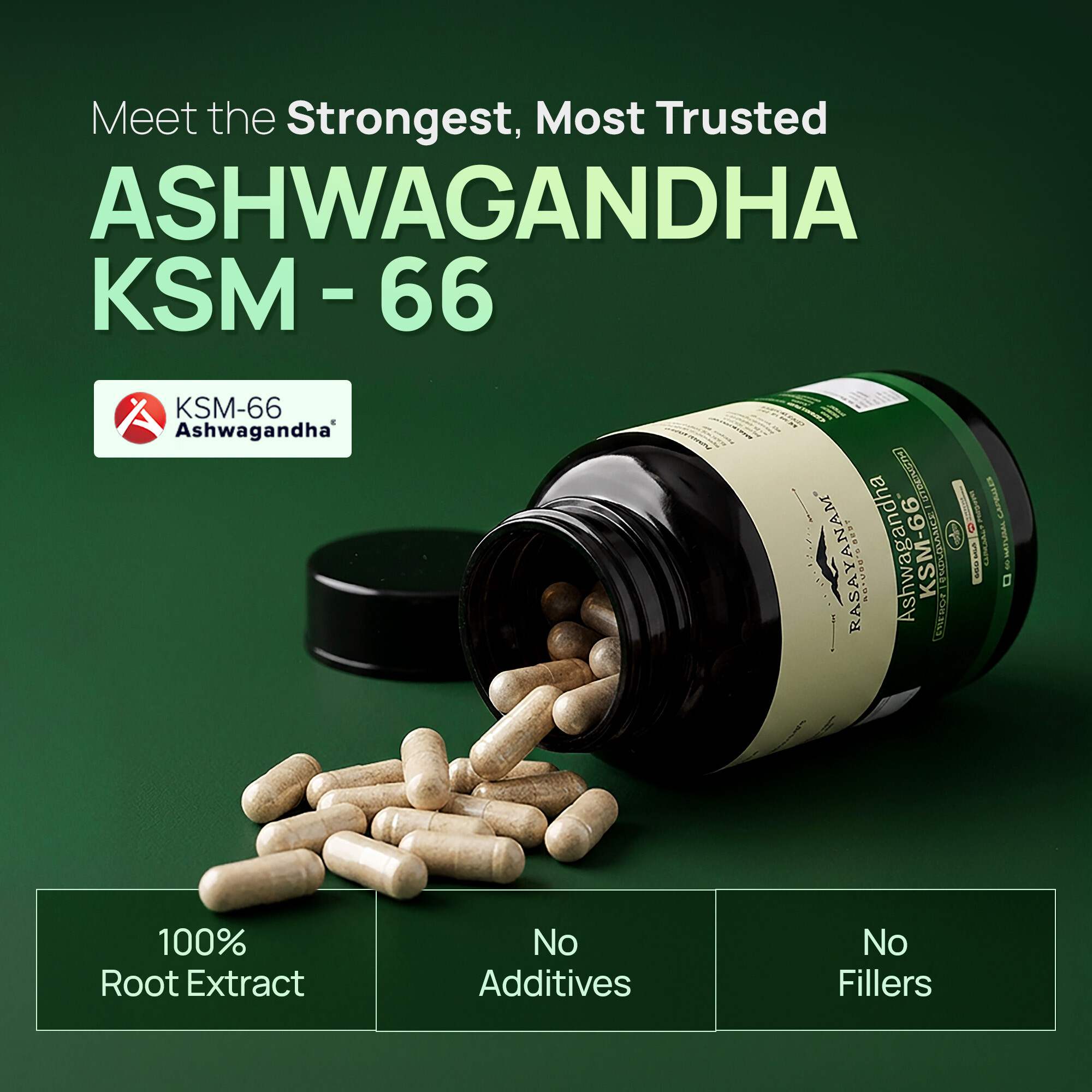 Rasayanam | Ashwagandha KSM-66 | 600 mg Capsules for Stress | Energy & Recovery | 60 Capsules | Pack of 1