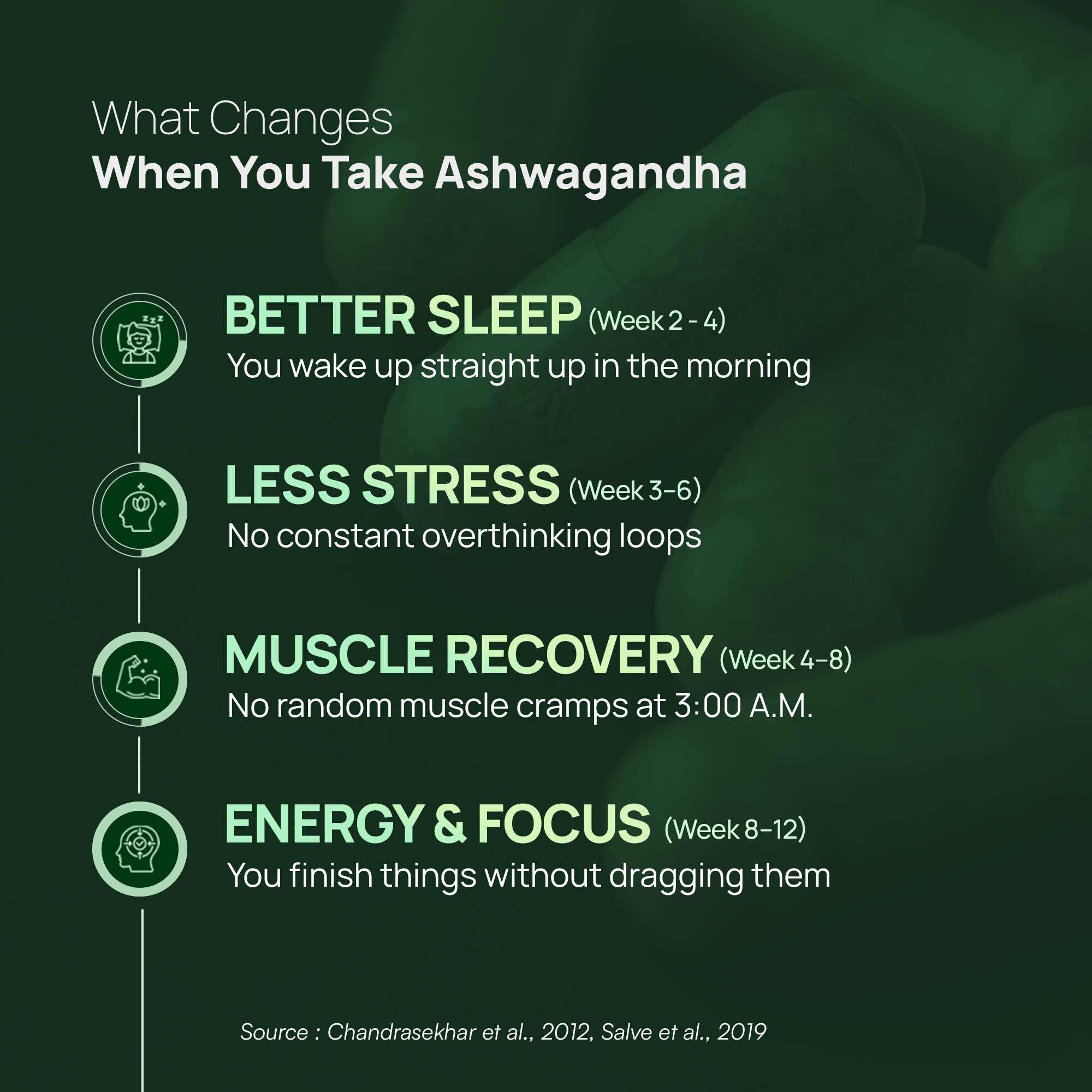 Rasayanam | Ashwagandha KSM-66 | 600 mg Capsules for Stress | Energy & Recovery | 180 Capsules | Pack of 3