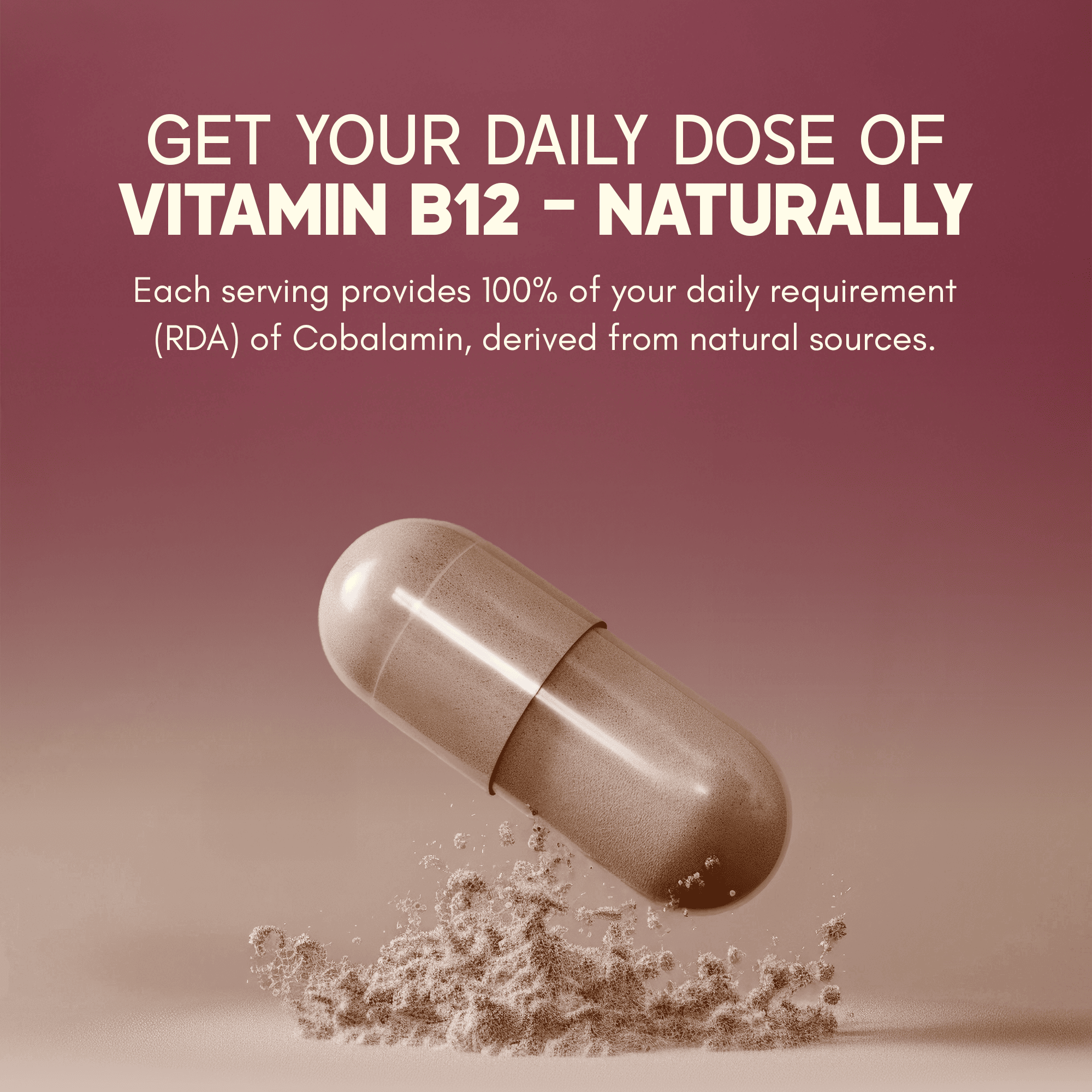 Rasayanam Plant-Based Vitamin B12 | Energy, Nerve & Brain Health | 60 Capsules (Pack of 1)