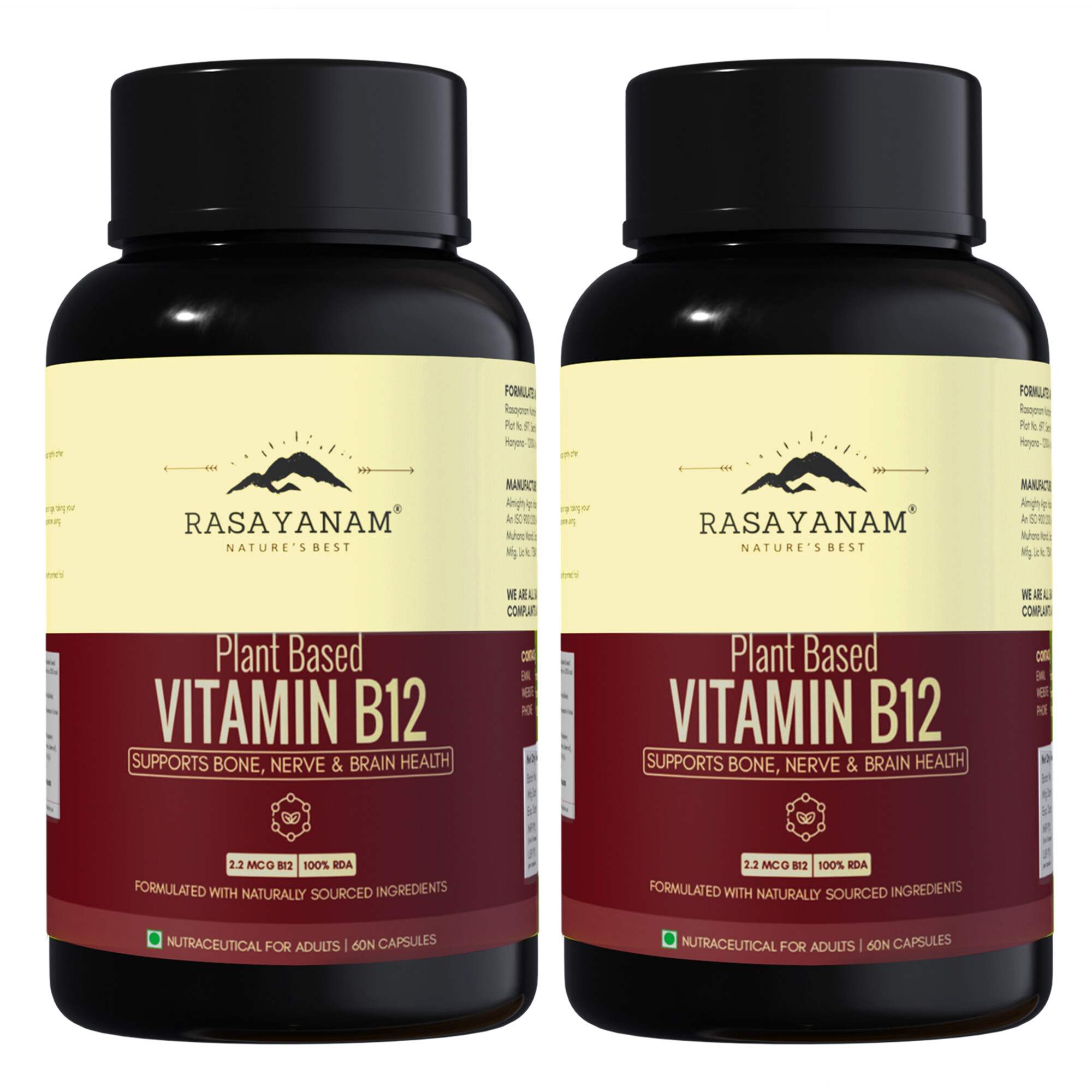 Rasayanam Plant-Based Vitamin B12 | Energy, Nerve & Brain Health | 120 Capsules (Pack of 1)