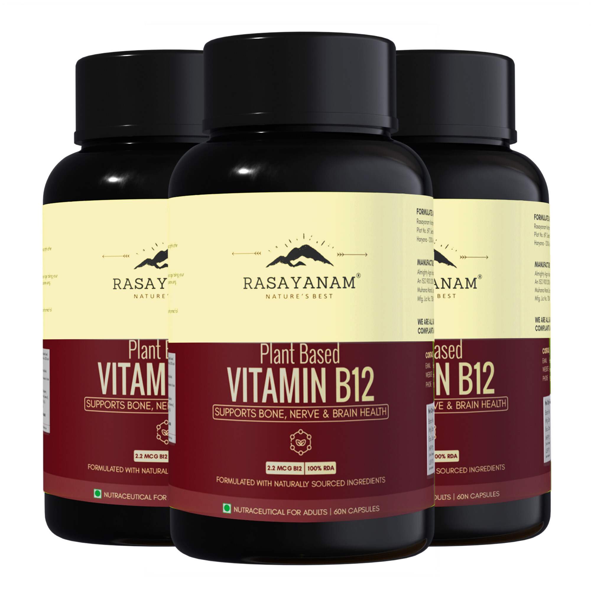 Rasayanam Plant-Based Vitamin B12 | Energy, Nerve & Brain Health | 360 Capsules (Pack of 1)