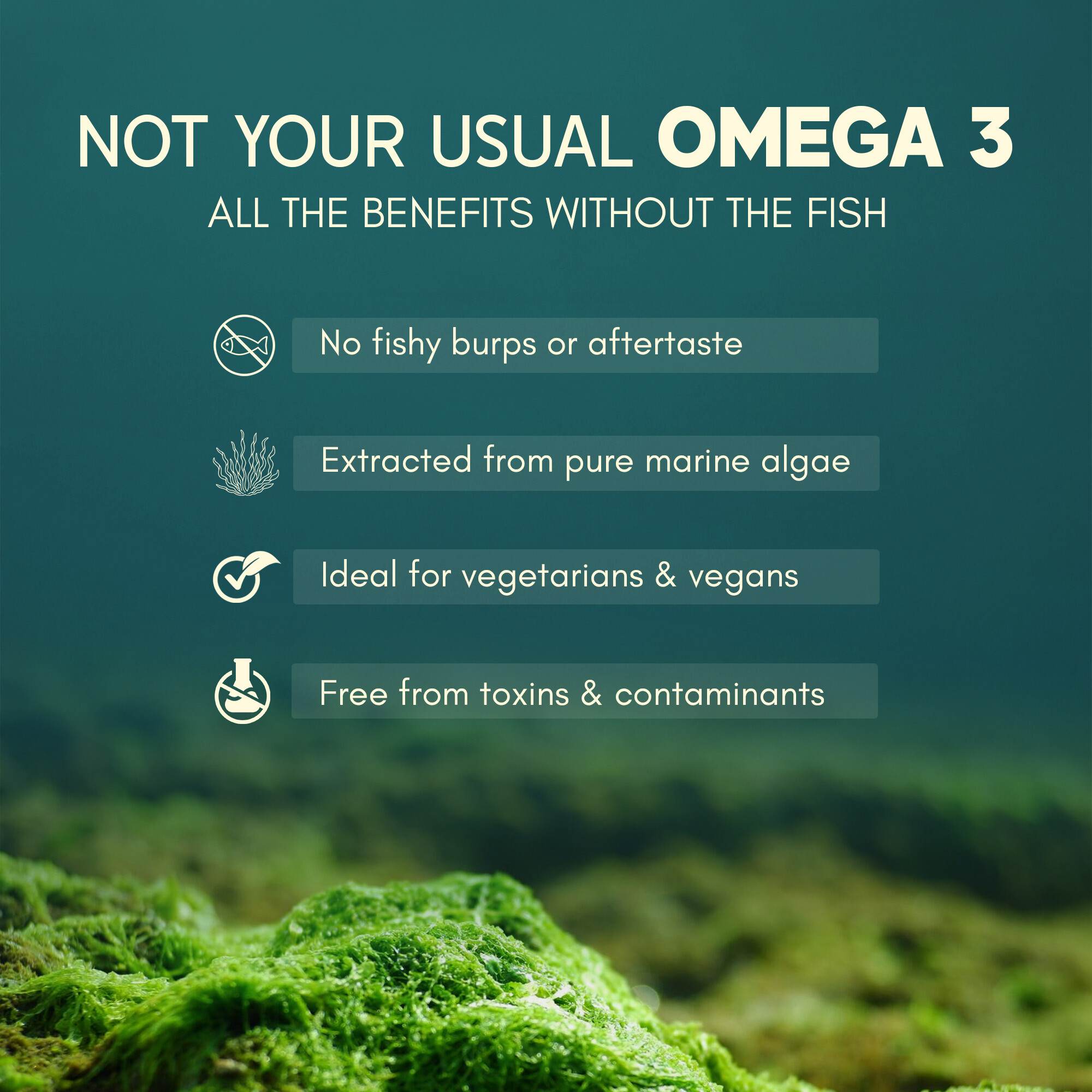 RASAYANAM OMEGA-3 | VEGAN, NO BURPS | EPA+DHA | 60 CAPSULES, PACK OF 2