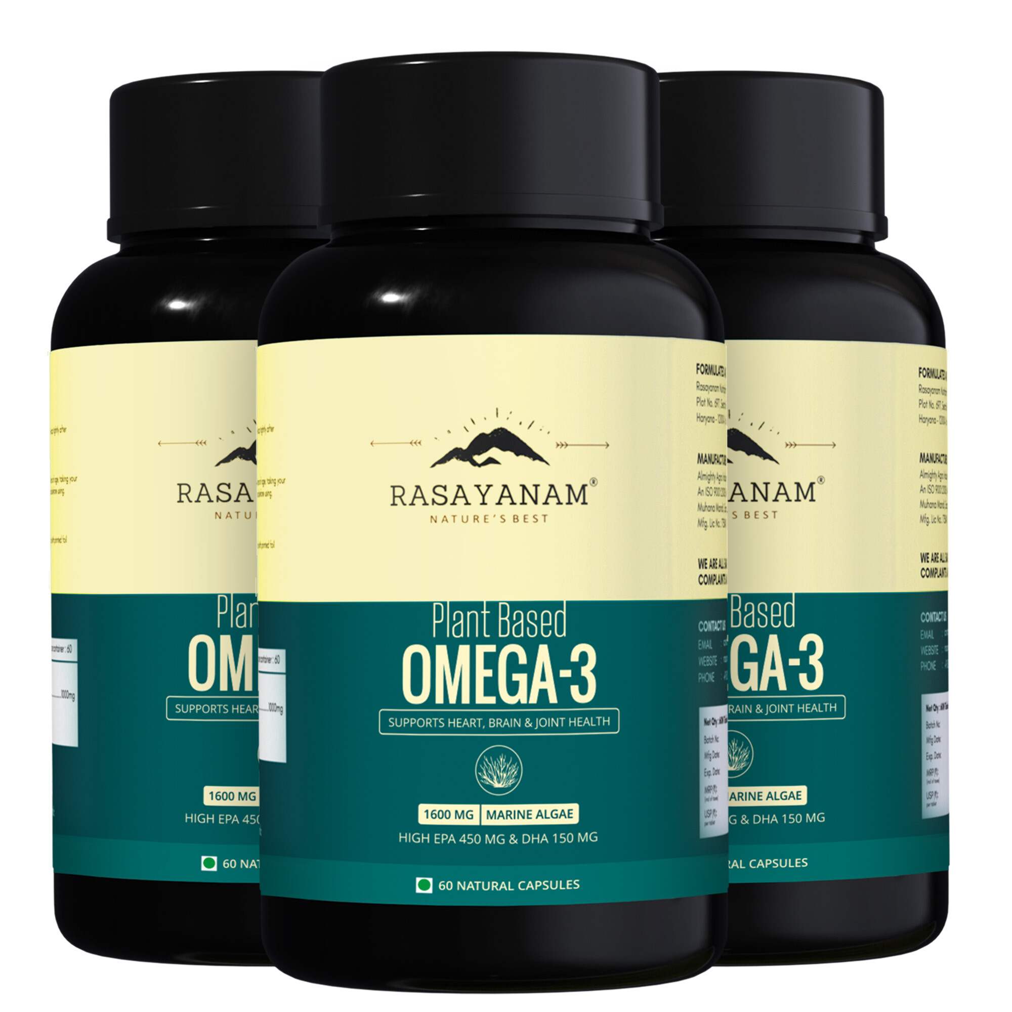 RASAYANAM OMEGA-3 | VEGAN, NO BURPS | EPA+DHA | 60 CAPSULES, PACK OF 3