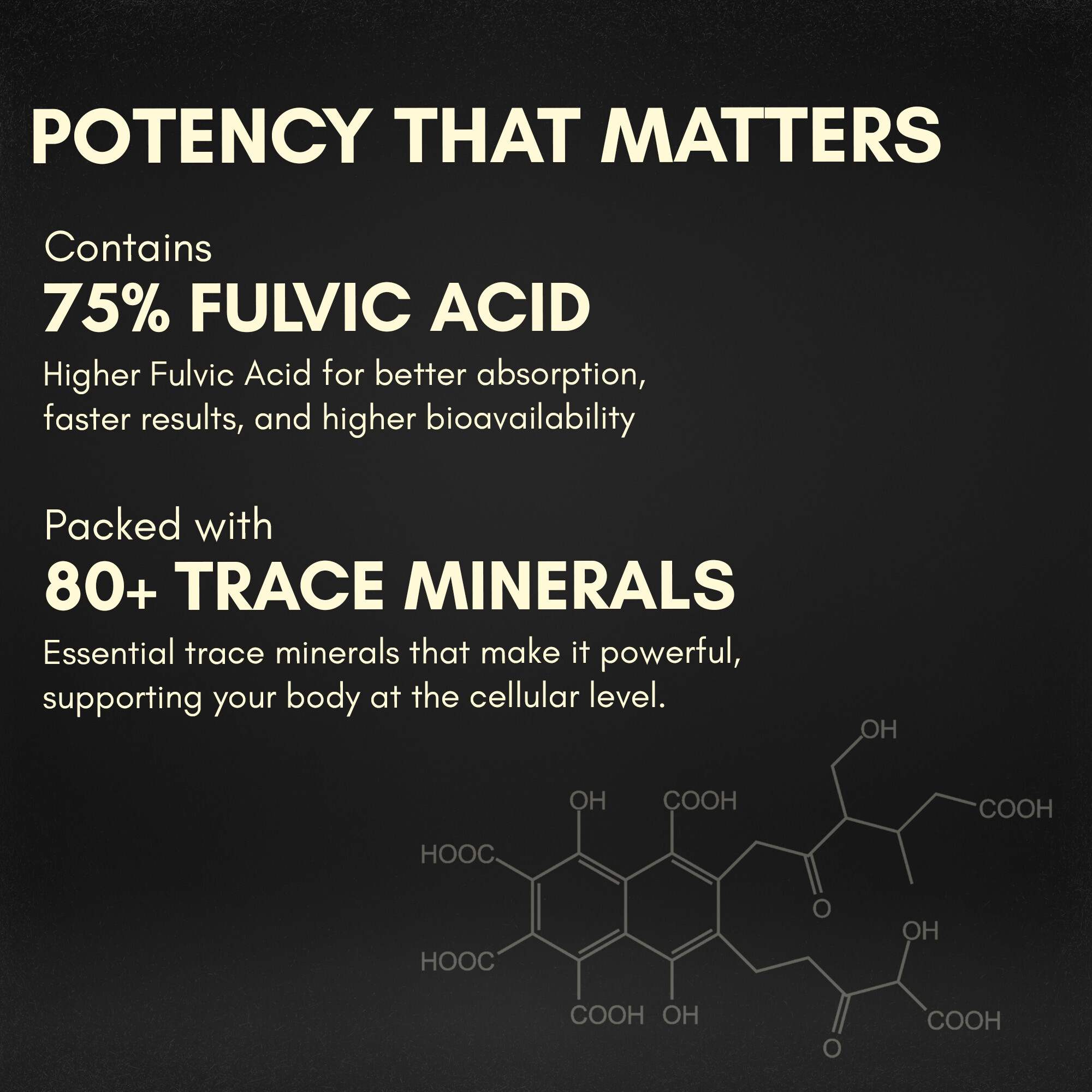 RASAYANAM SHILAJIT GOLD RESIN|75% FULVIC ACID + KSM-66 FOR STRENGTH & RECOVERY| 20G PACK OF 2