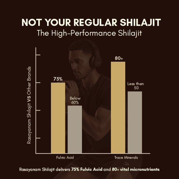 RASAYANAM PURE SHILAJIT |75% FULVIC ACID FOR ENERGY & STAMINA|20G PACK OF 1