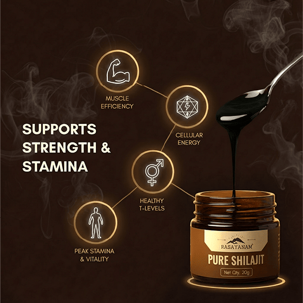 RASAYANAM PURE SHILAJIT |75% FULVIC ACID FOR ENERGY & STAMINA|20G PACK OF 1