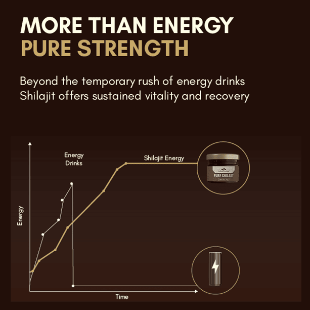 RASAYANAM PURE SHILAJIT |75% FULVIC ACID FOR ENERGY & STAMINA|20G PACK OF 2