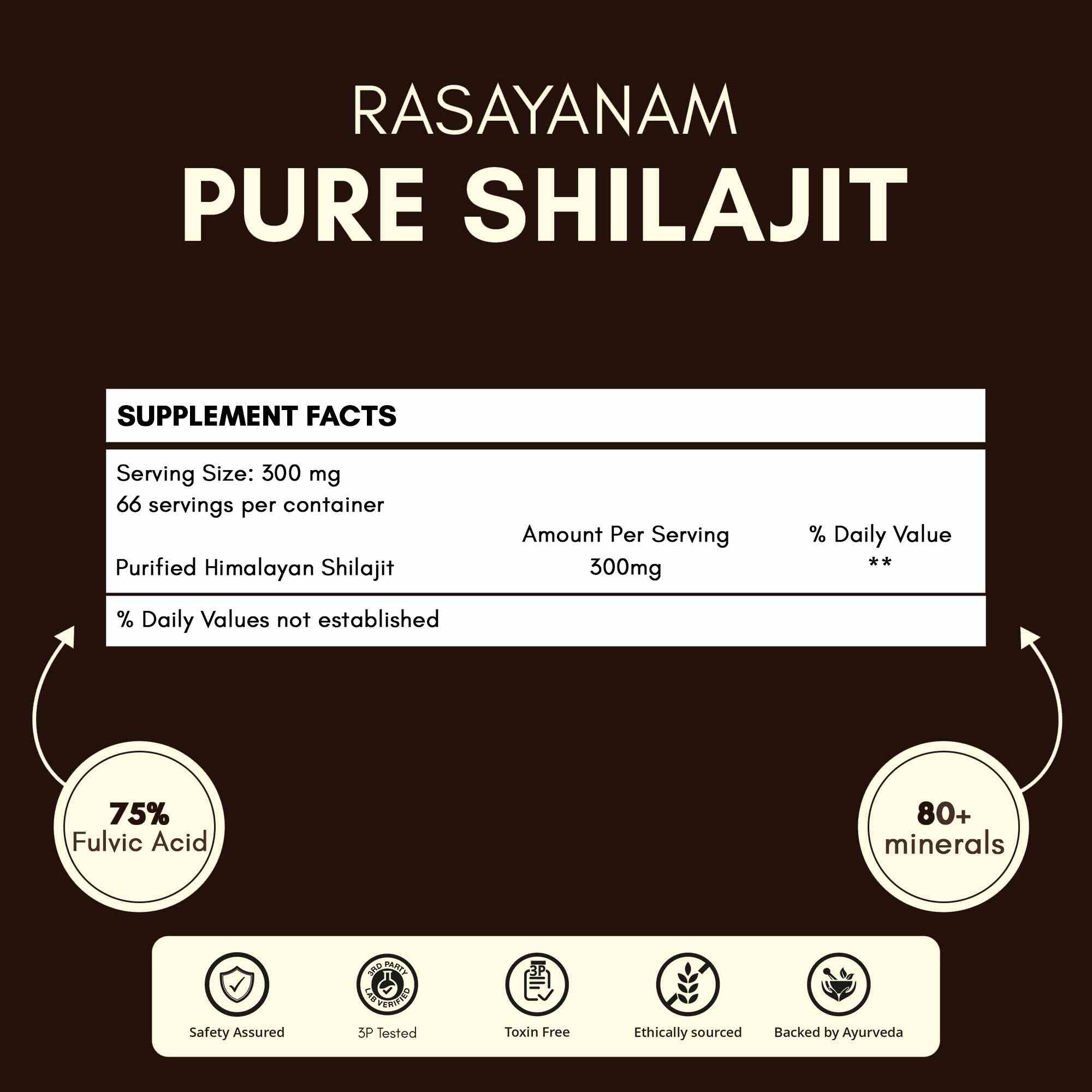 RASAYANAM PURE SHILAJIT |75% FULVIC ACID FOR ENERGY & STAMINA|20G PACK OF 2
