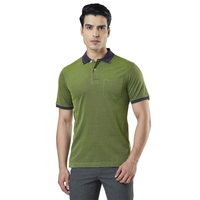 Raymond | Green Solid Polo T-Shirt 0